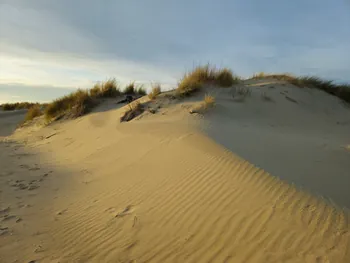 Oostnieuwkerke duinen wandeling in de koude (België)